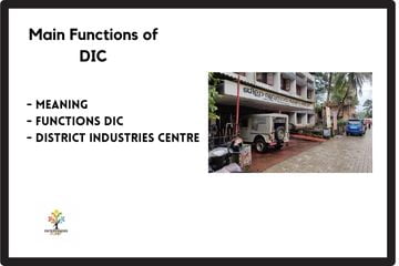 What are the Main Functions of the District Industries Centre (2024)