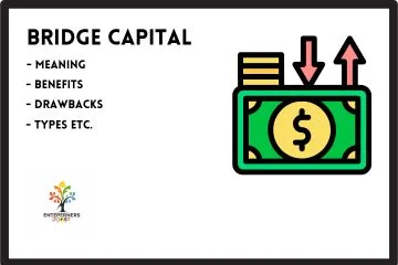 Is Bridge Capital Right for Your Business