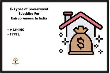 13 Types of Government Subsidies For Entrepreneurs In India