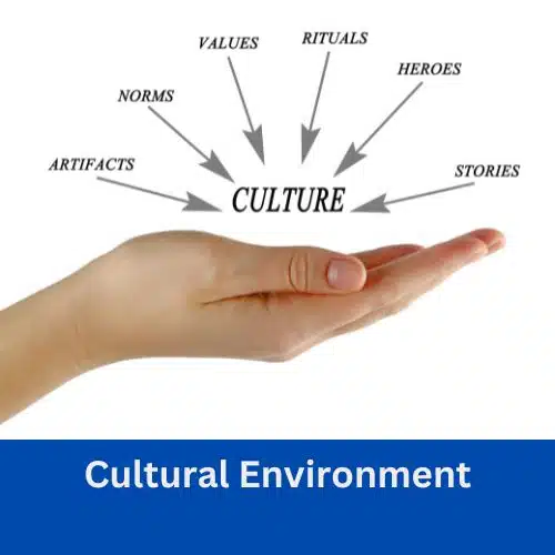 Cultural Environment