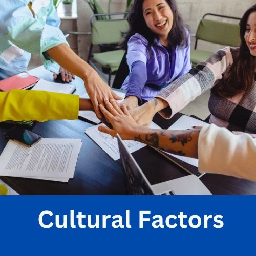 Cultural Factors