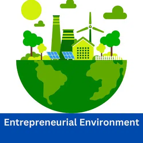 Define Entrepreneurial Environment