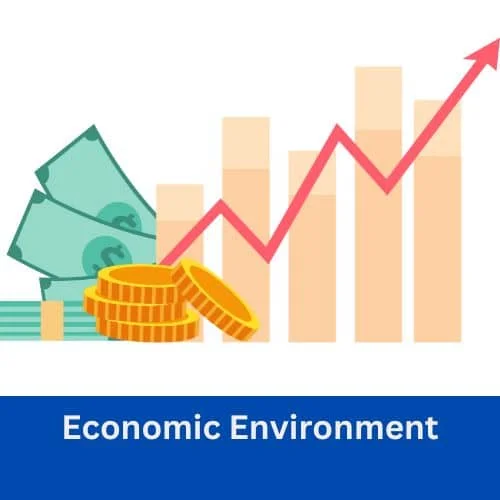 Economic Environment