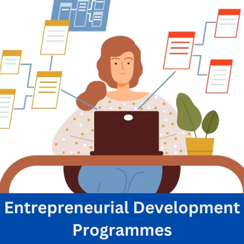 Entrepreneurial Development Programmes