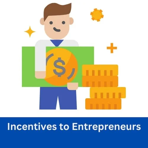 Incentives to Entrepreneurs