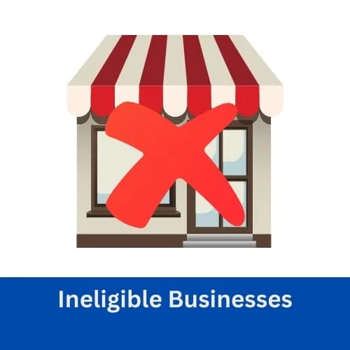 Ineligible Businesses