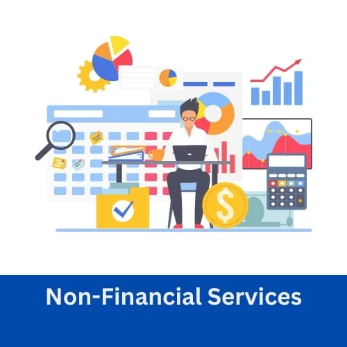 Non Financial Services