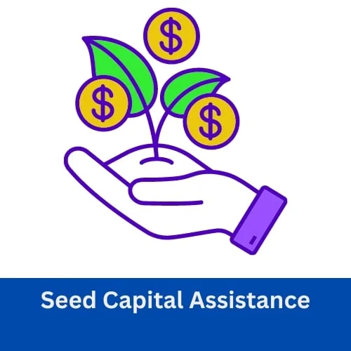 Seed Capital Assistance