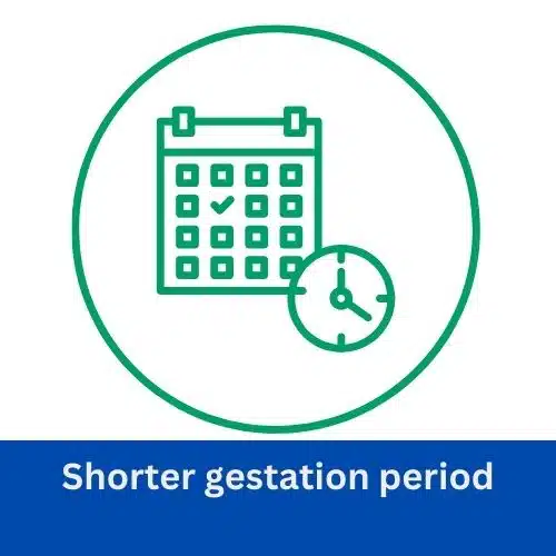 Shorter gestation period
