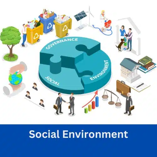 Social Environment