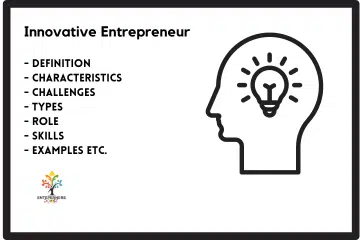 Innovative Entrepreneur