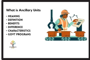 Ancillary Units