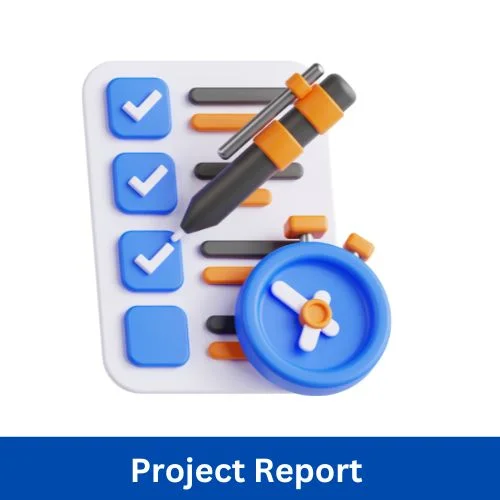 Project Report