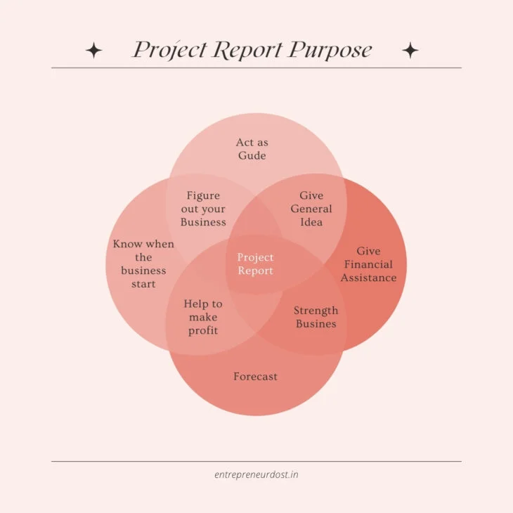 Purposes of the Project Report