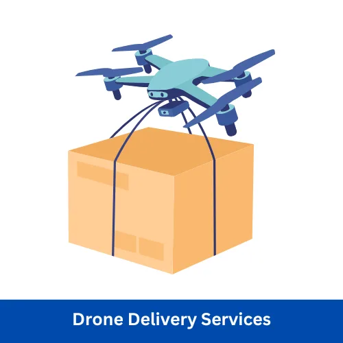 Drone Delivery Services