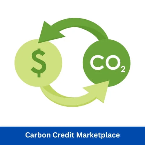 Carbon Credit Marketplace